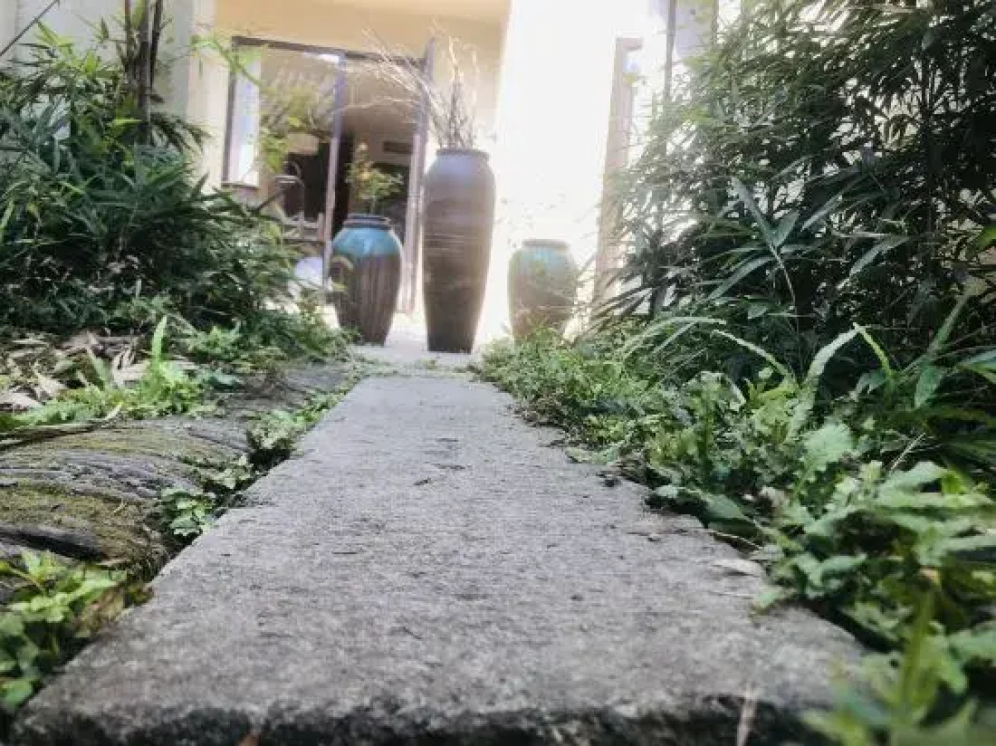 Changxing Sunmu Hometown Su