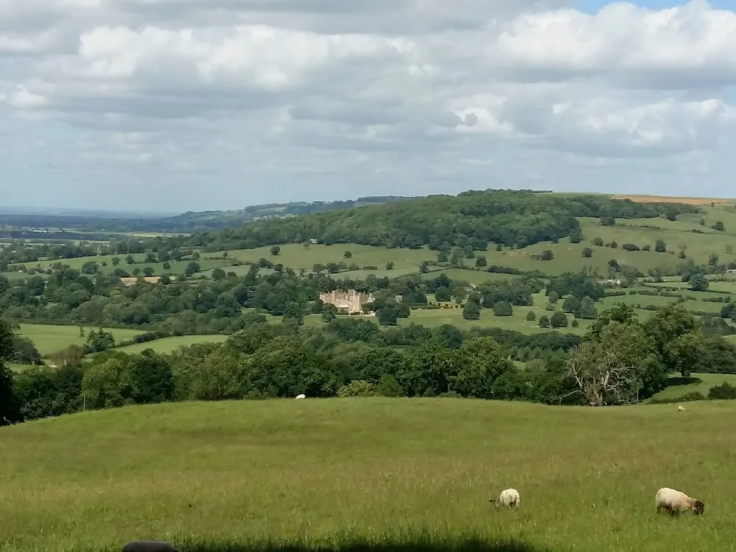 Apple Tree Bed and Breakfast