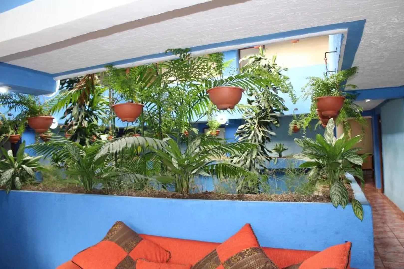 Hotel Kasa Kamelot 2