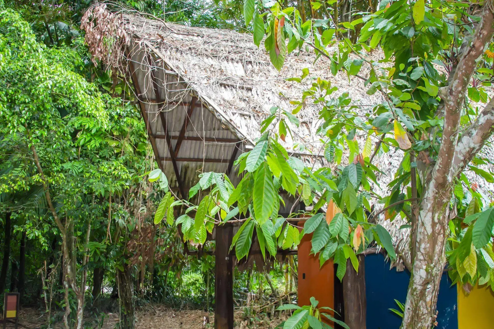 Parque Dos Igarapés