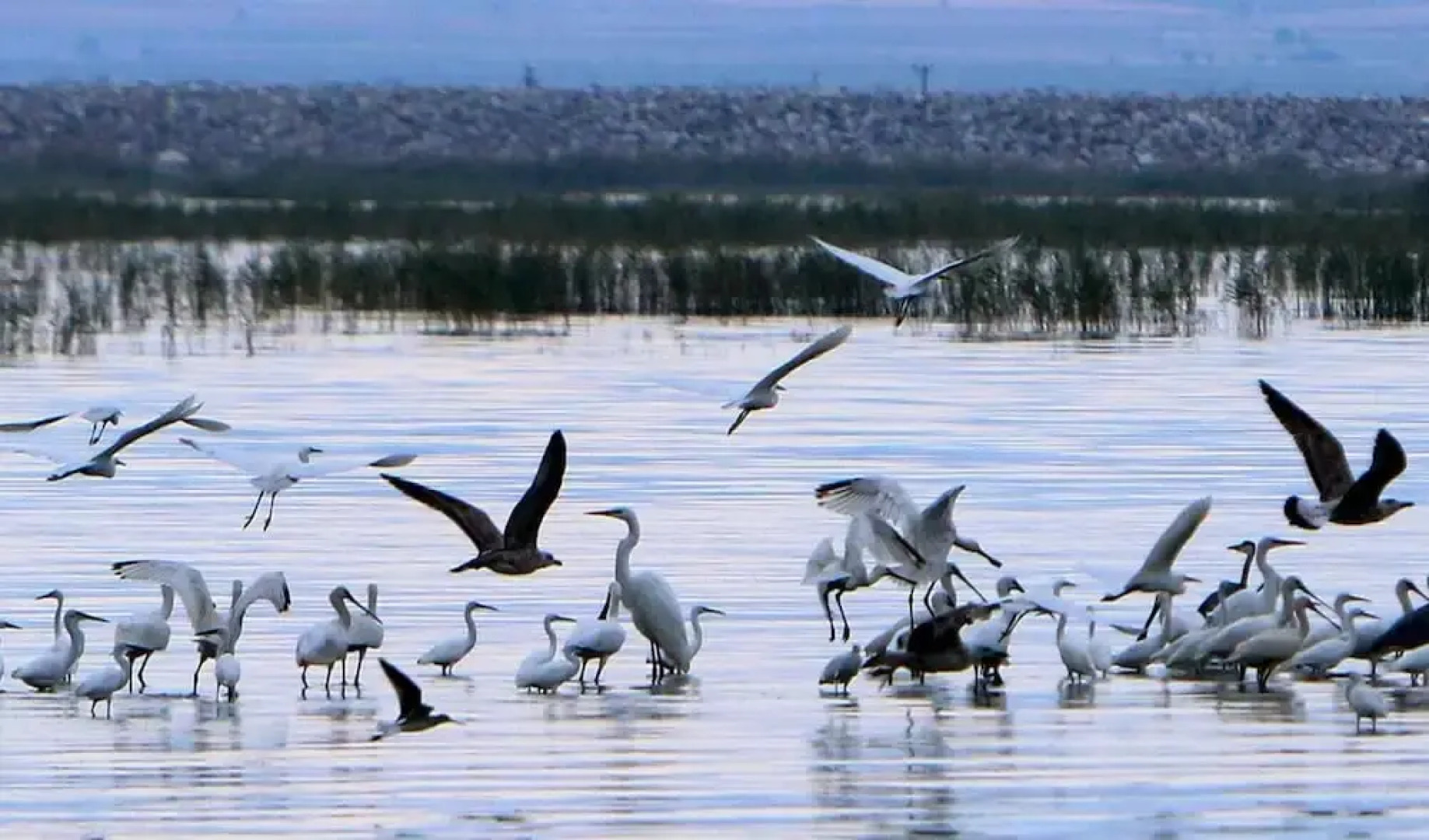Nikolaou Apartments Upper Floor