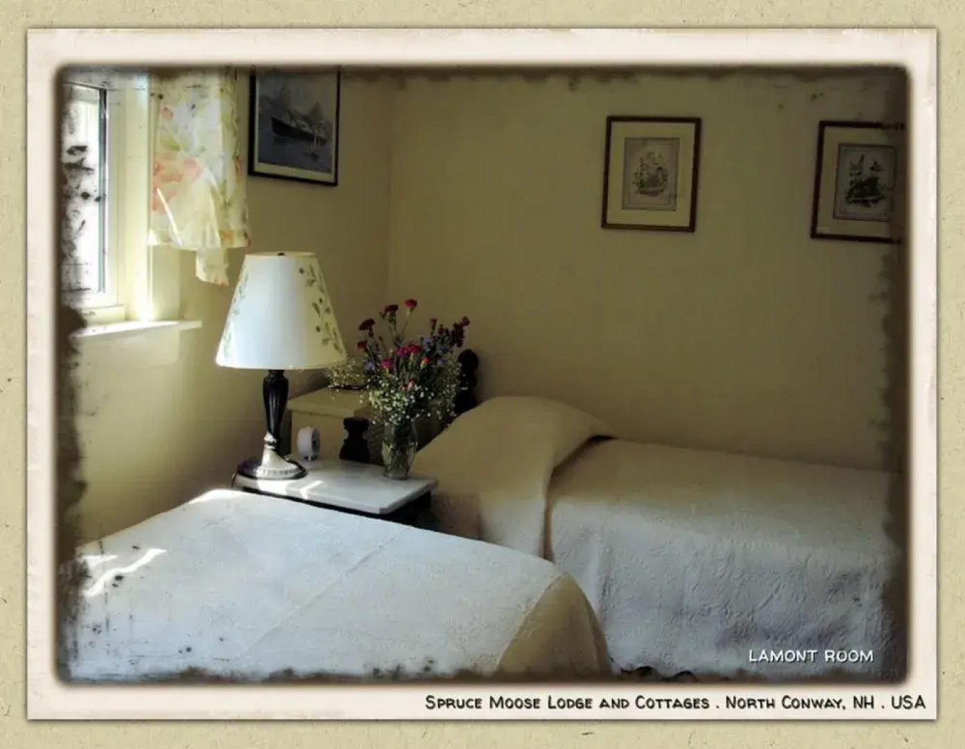 Spruce Moose Lodge and Cottages