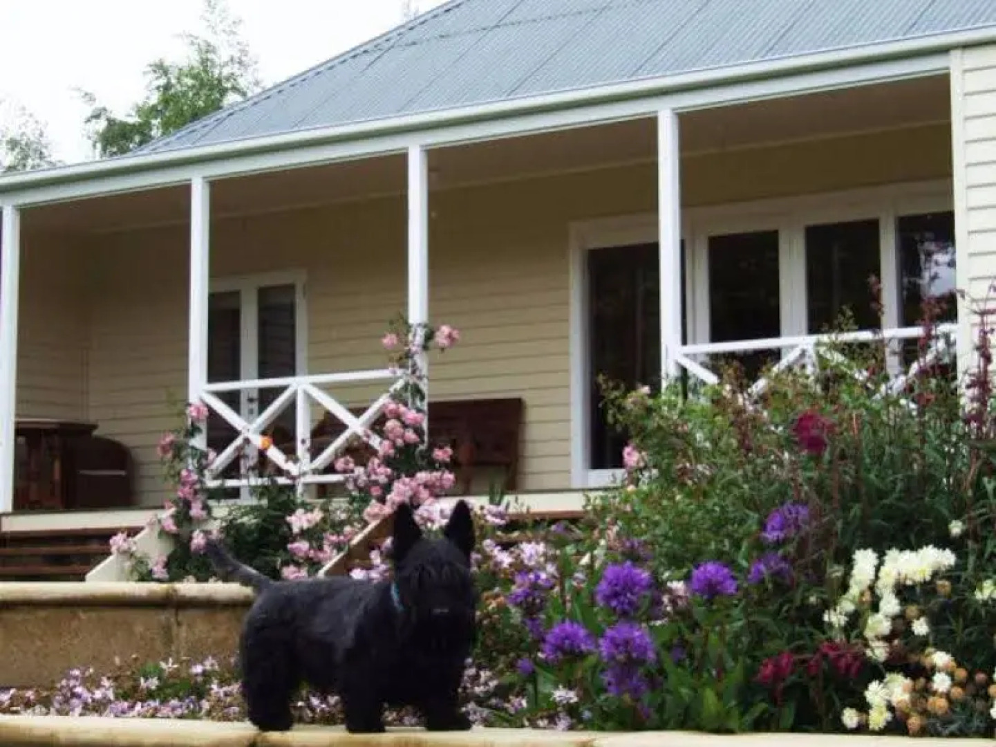 Rosefield Bed and Breakfast