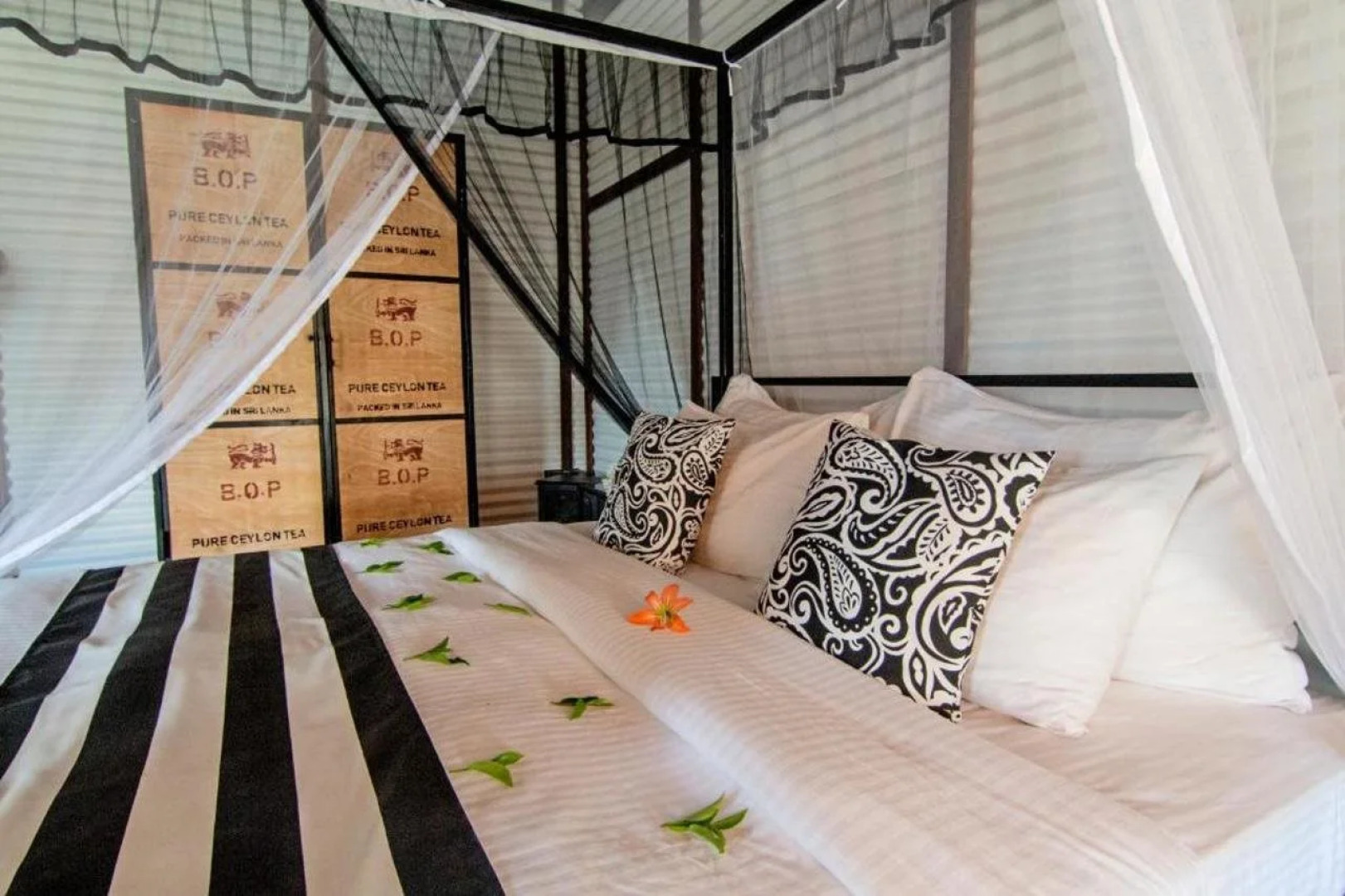 Tea & Experience Factory