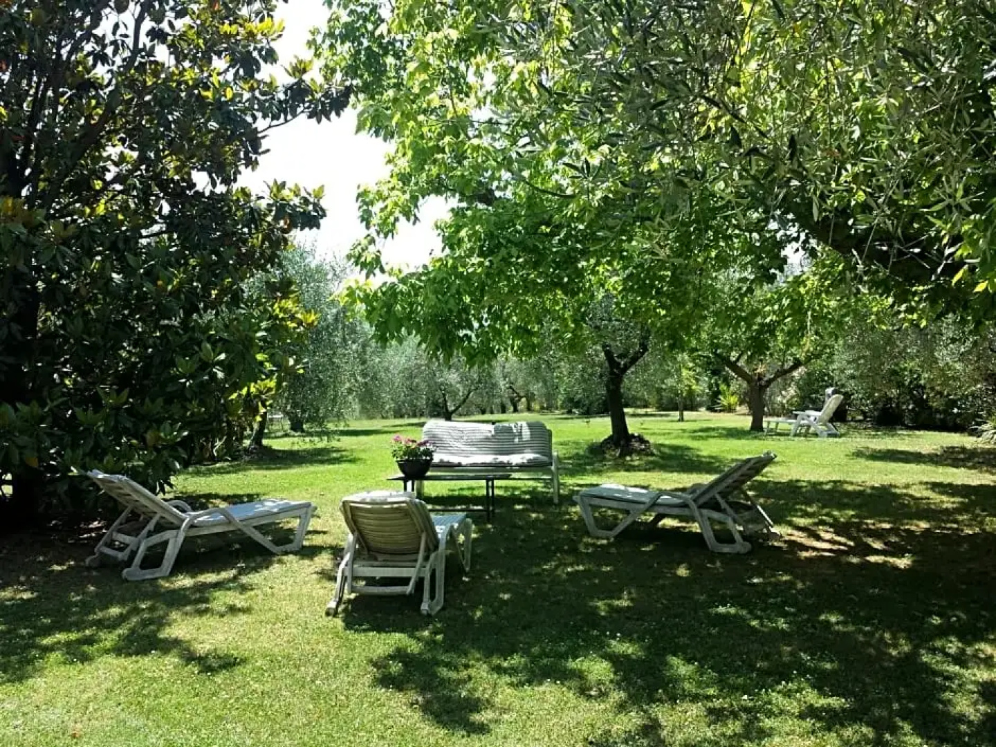 Trecentolivi B&b