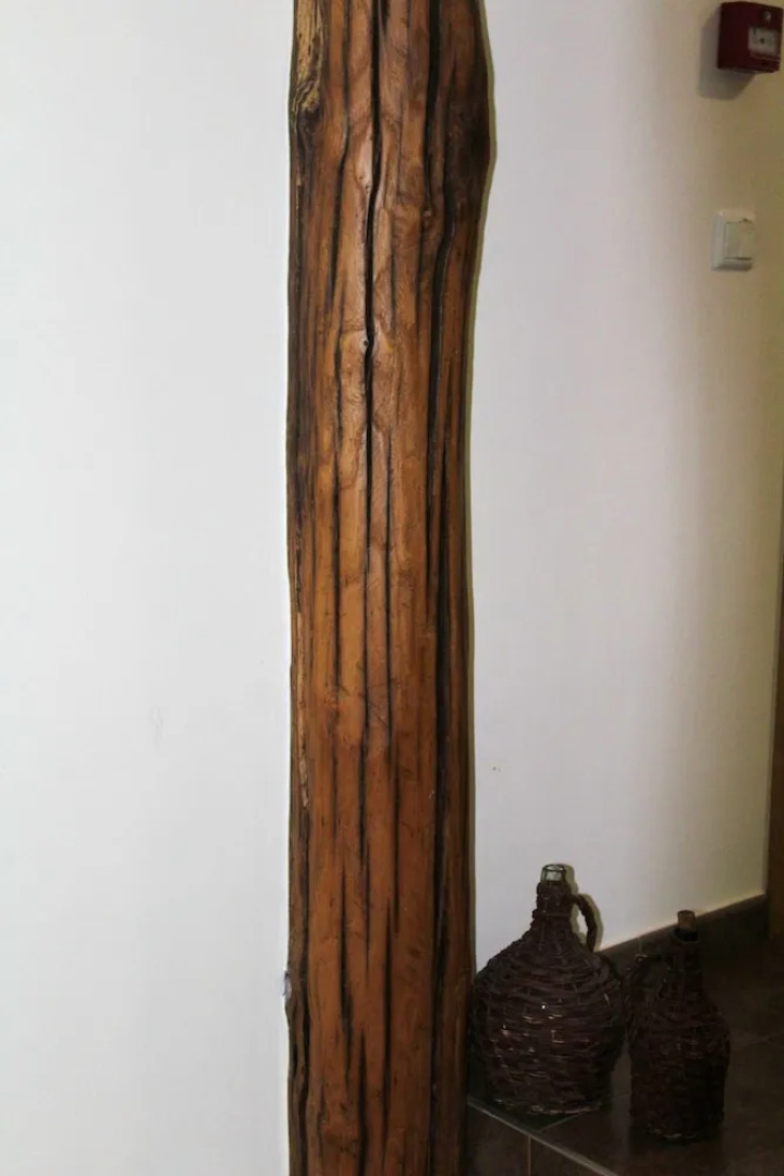 Property With 4 Bedrooms in Bragança, With Wonderful Lake View and Furnished Terrace