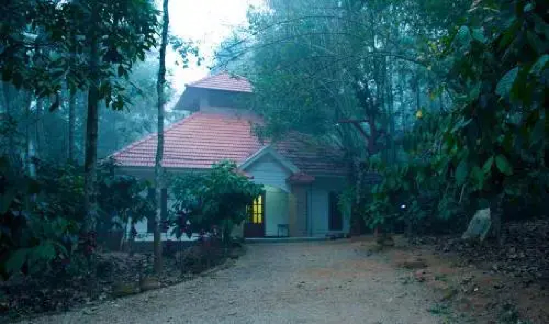 Wayanad Coffee Mist Resort