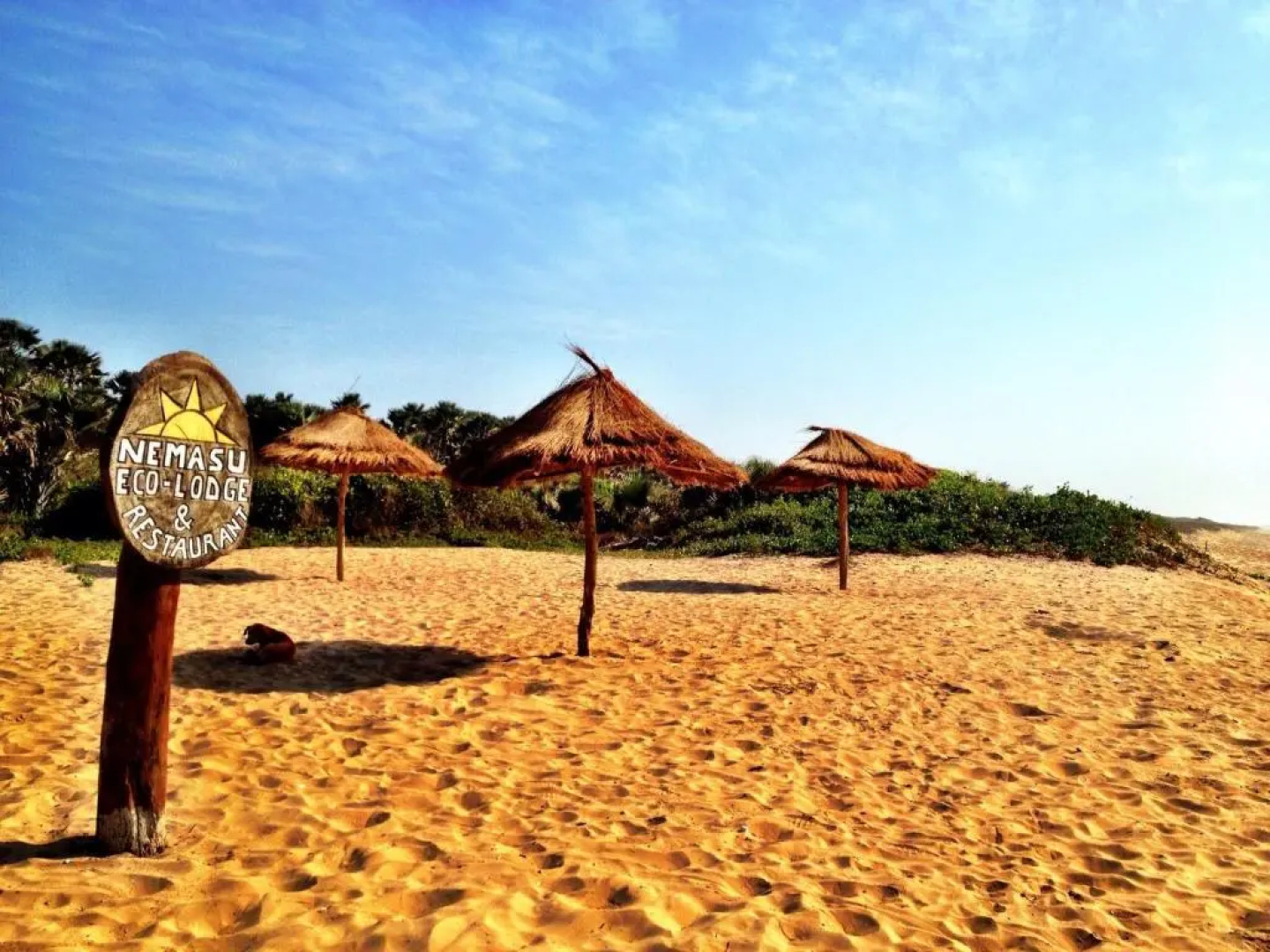 Nemasu Eco-Lodge