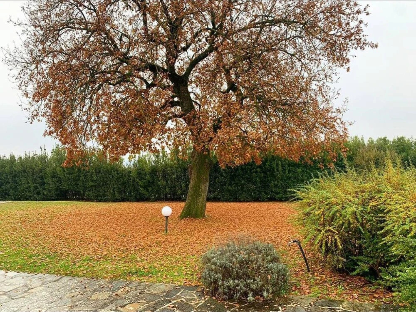 Podere Pozzangone - Your Tuscany Home
