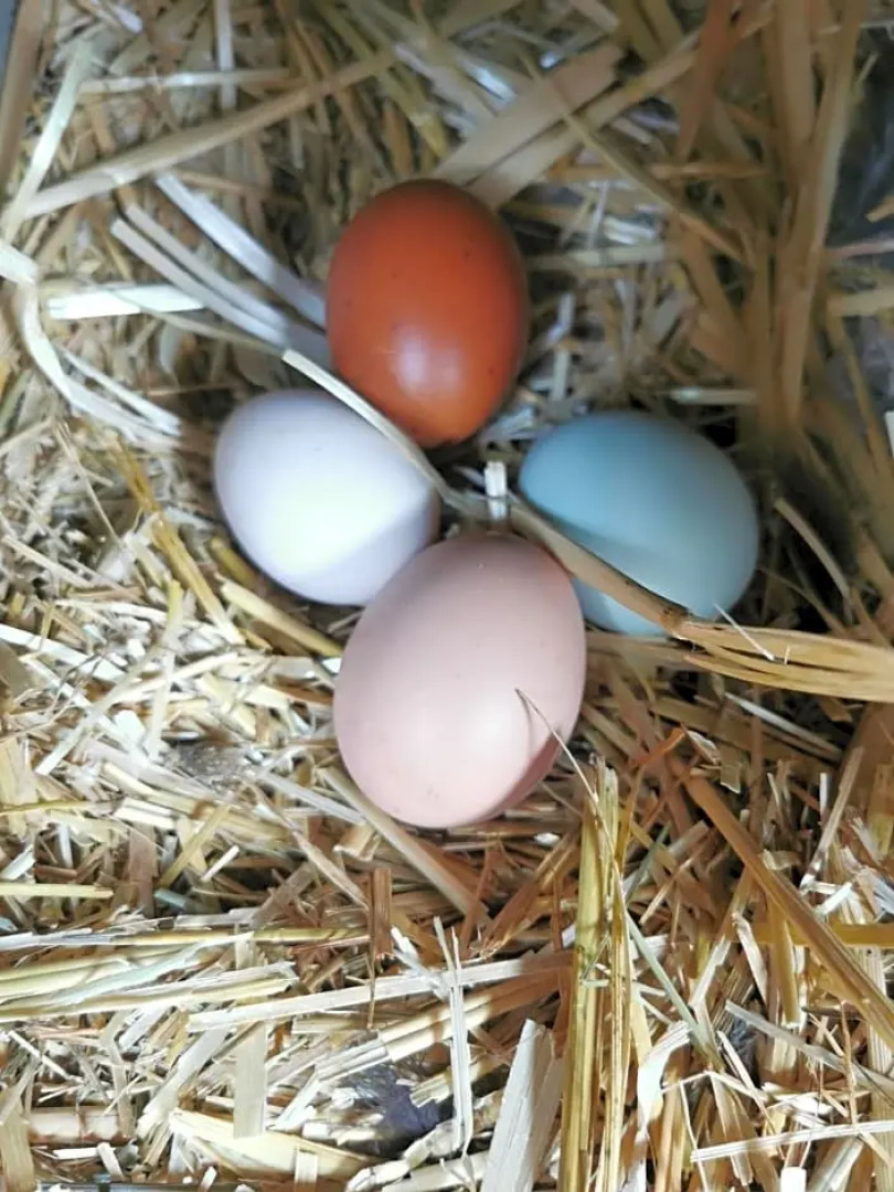 B&B A la Ferme d'Ourches