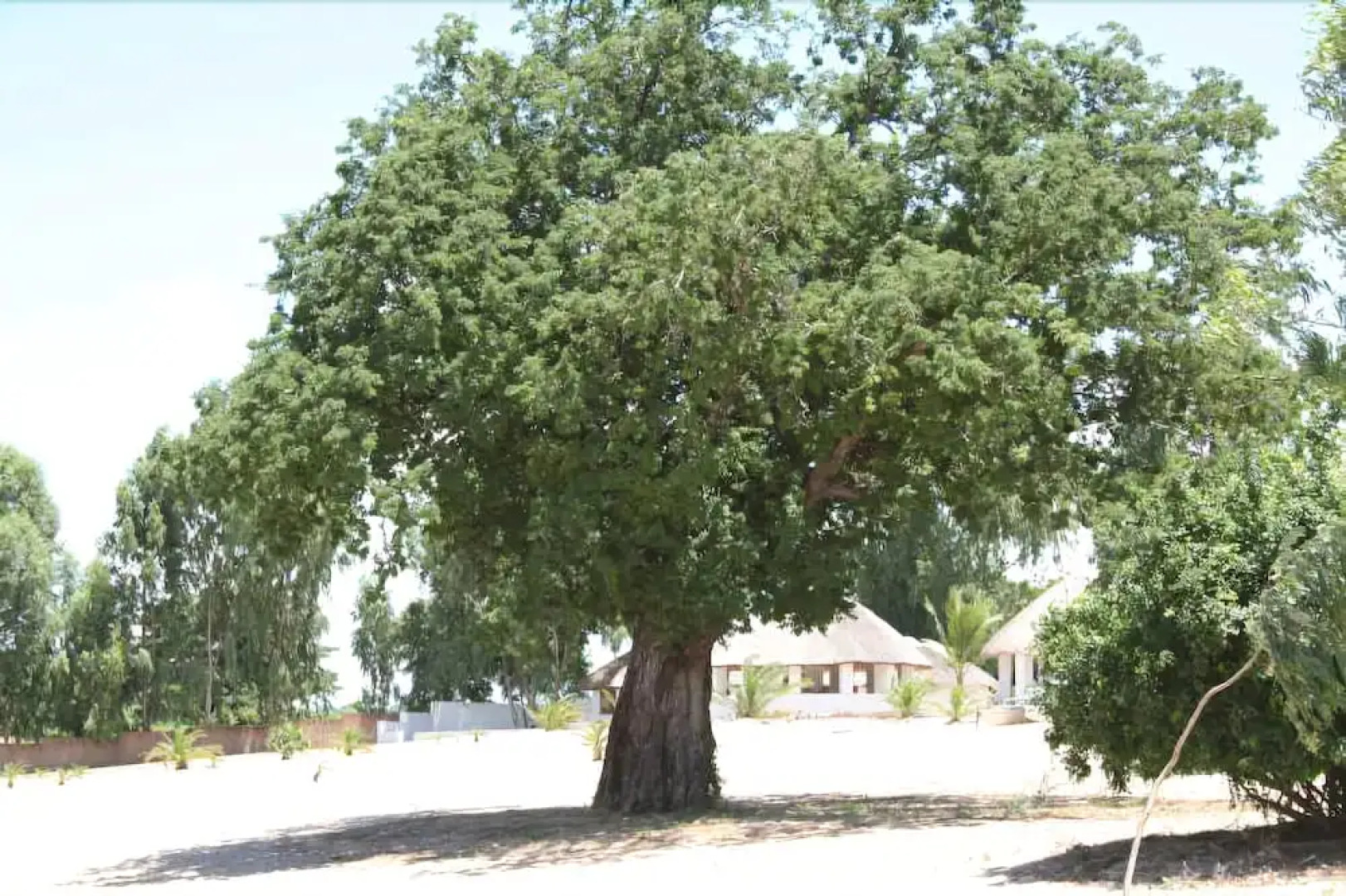 Fish Eagle Bay Lodge