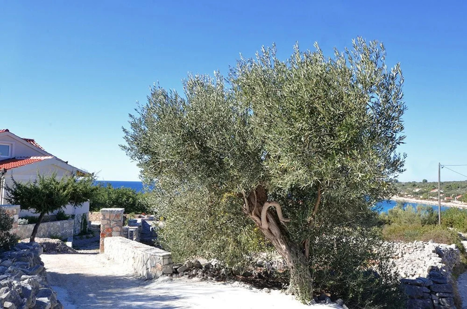 Željko - sea View - H