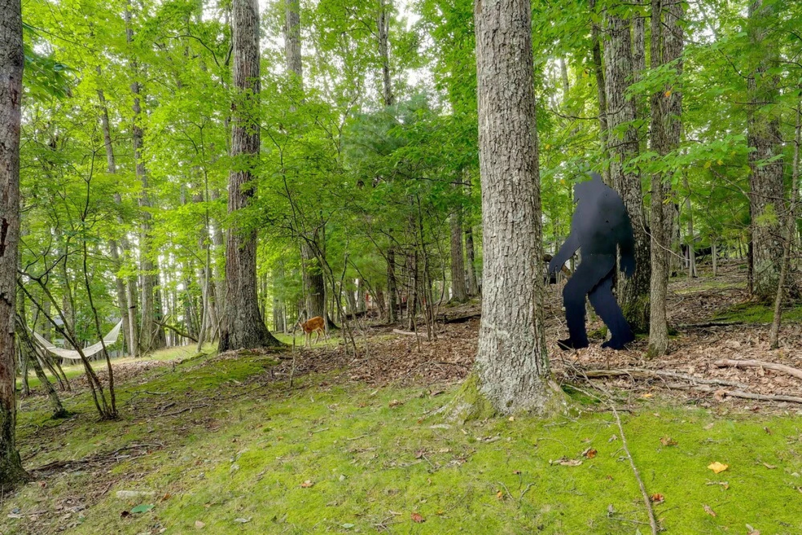 Deck, Fire Pit, & Grill: Beech Mountain Chalet