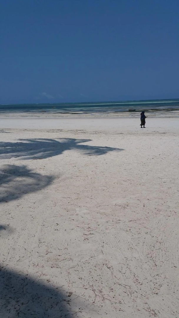 Khadija Kiwengwa Apartment