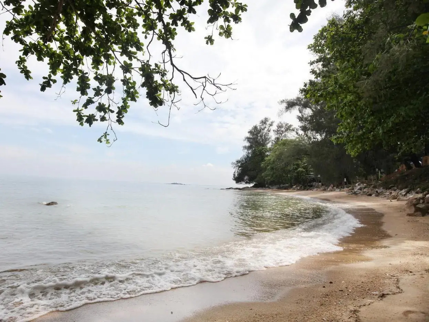 Batu Ferringhi - Shamrock Beach 19