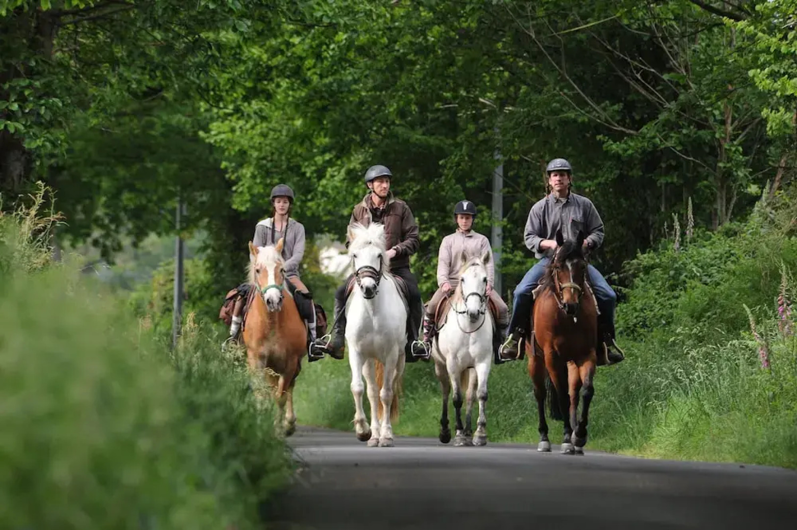 Dordogne Charm & Comfort