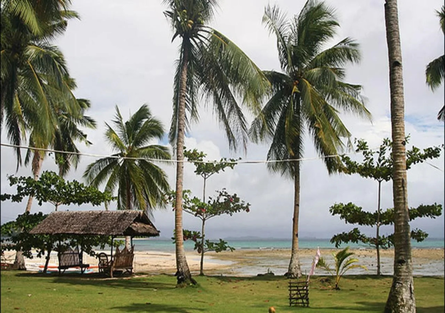 Tarzans Beach Resort