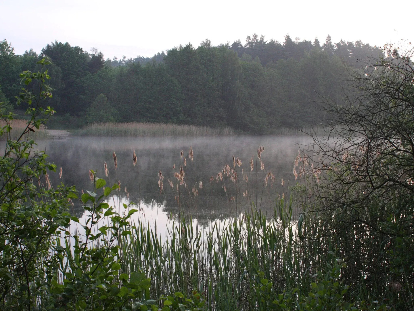 Terraced House, Lohmen