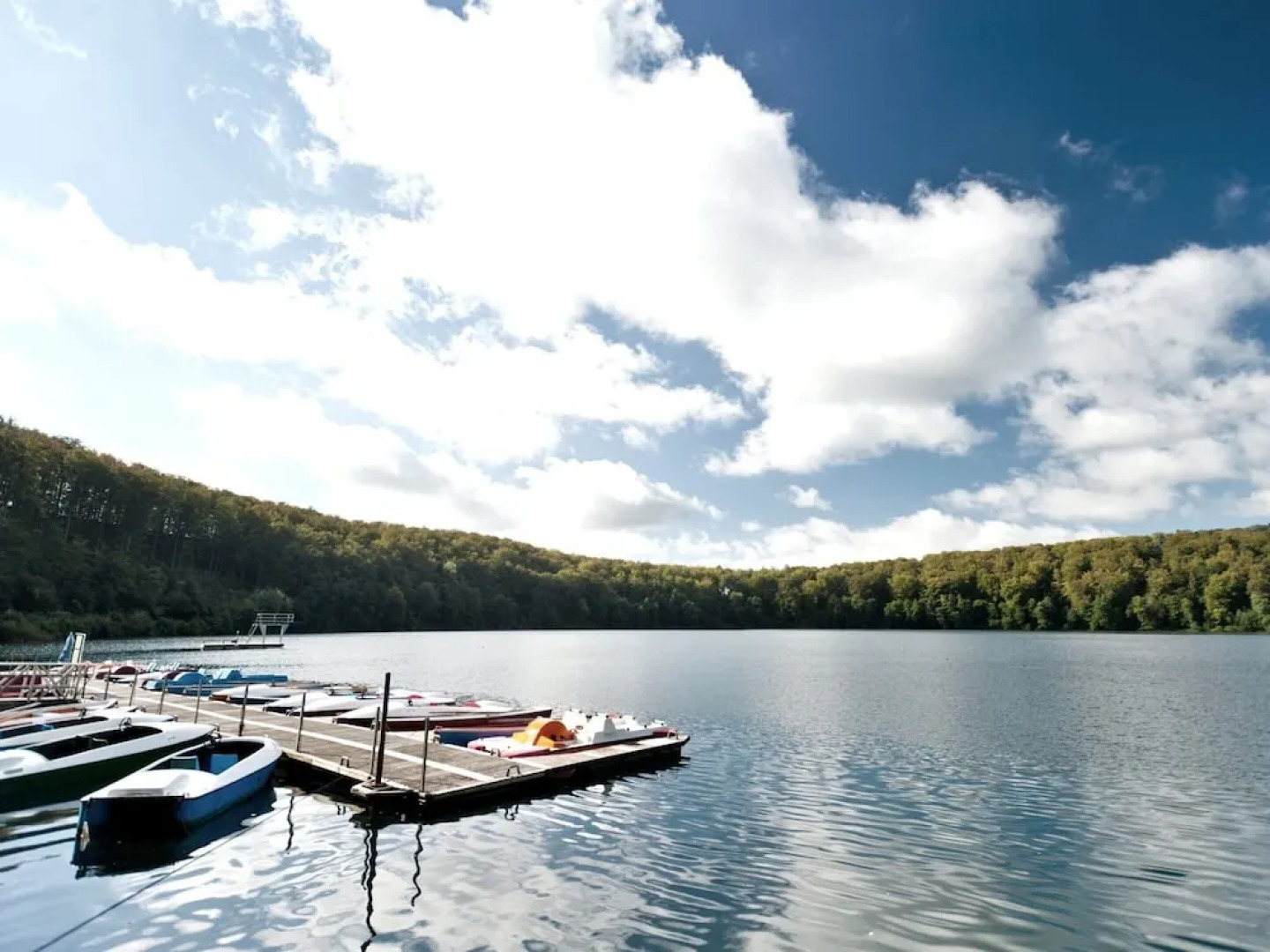 Romantic Mansion in Strotzbusch by the Forest