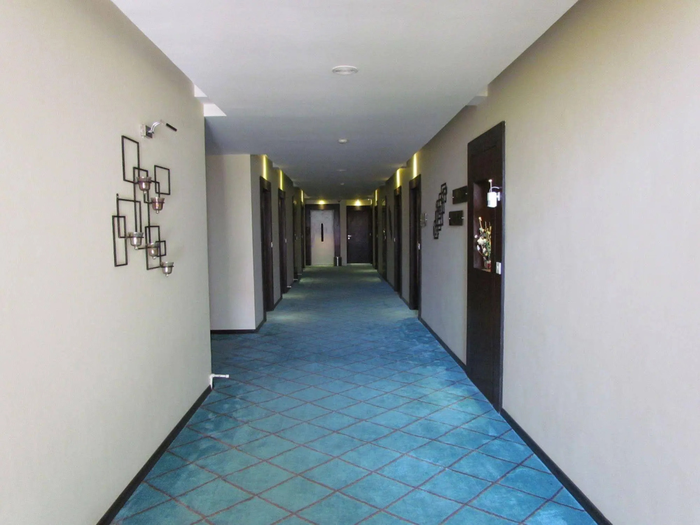 Hotel Pine Spring Srinagar Wazir Bagh