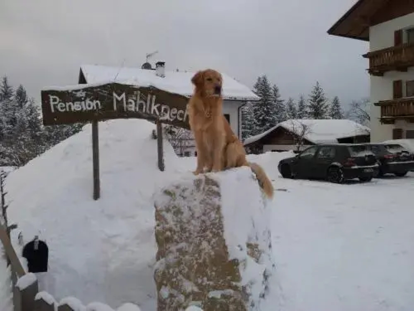 Pension Villa Mahlknecht