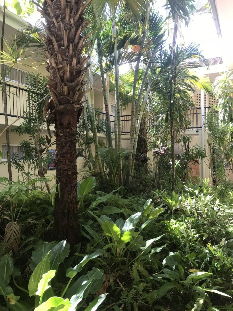 Villa Vaucluse Apartments of Cairns