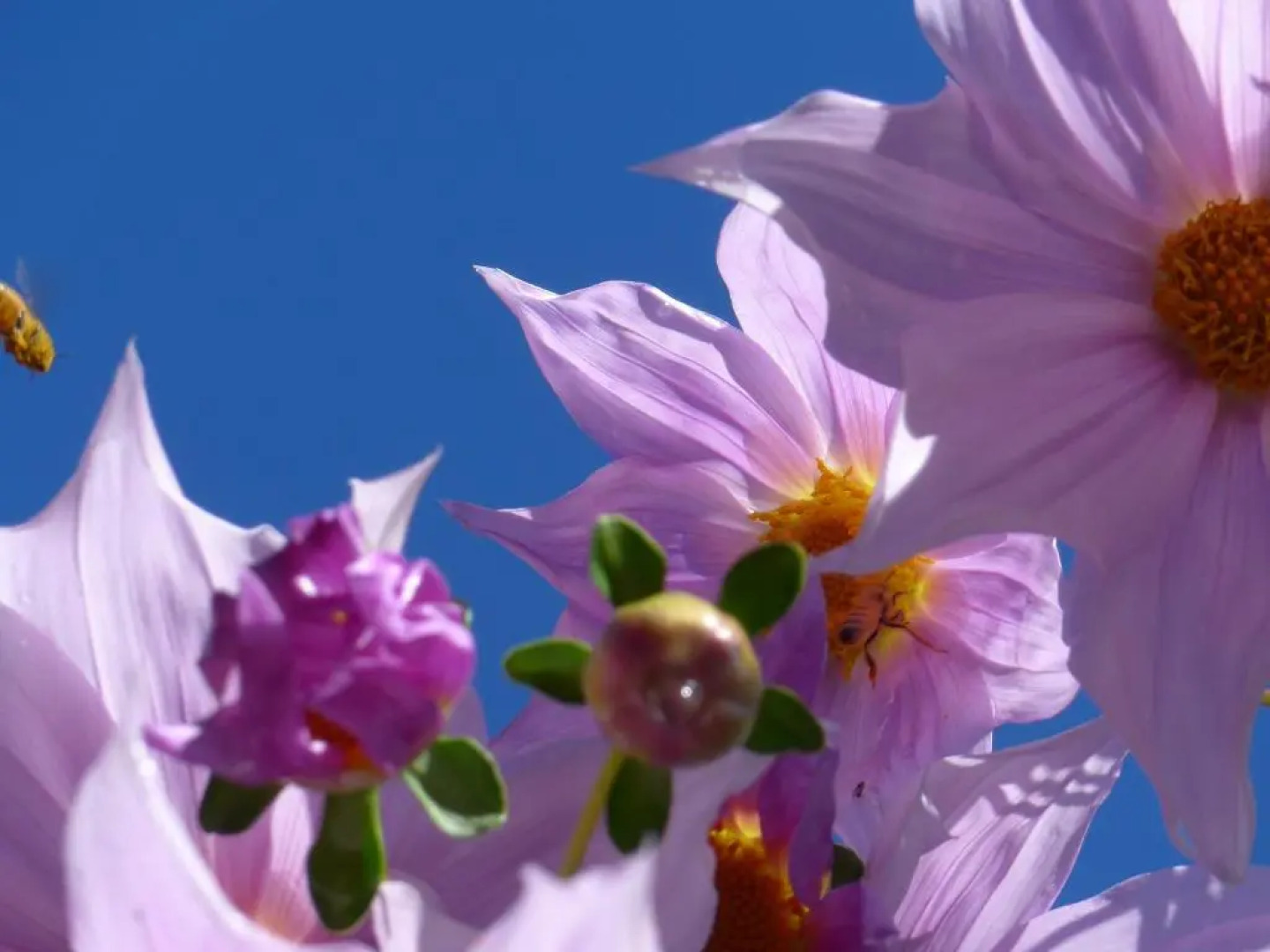 Wharepuke Subtropical Accommodation