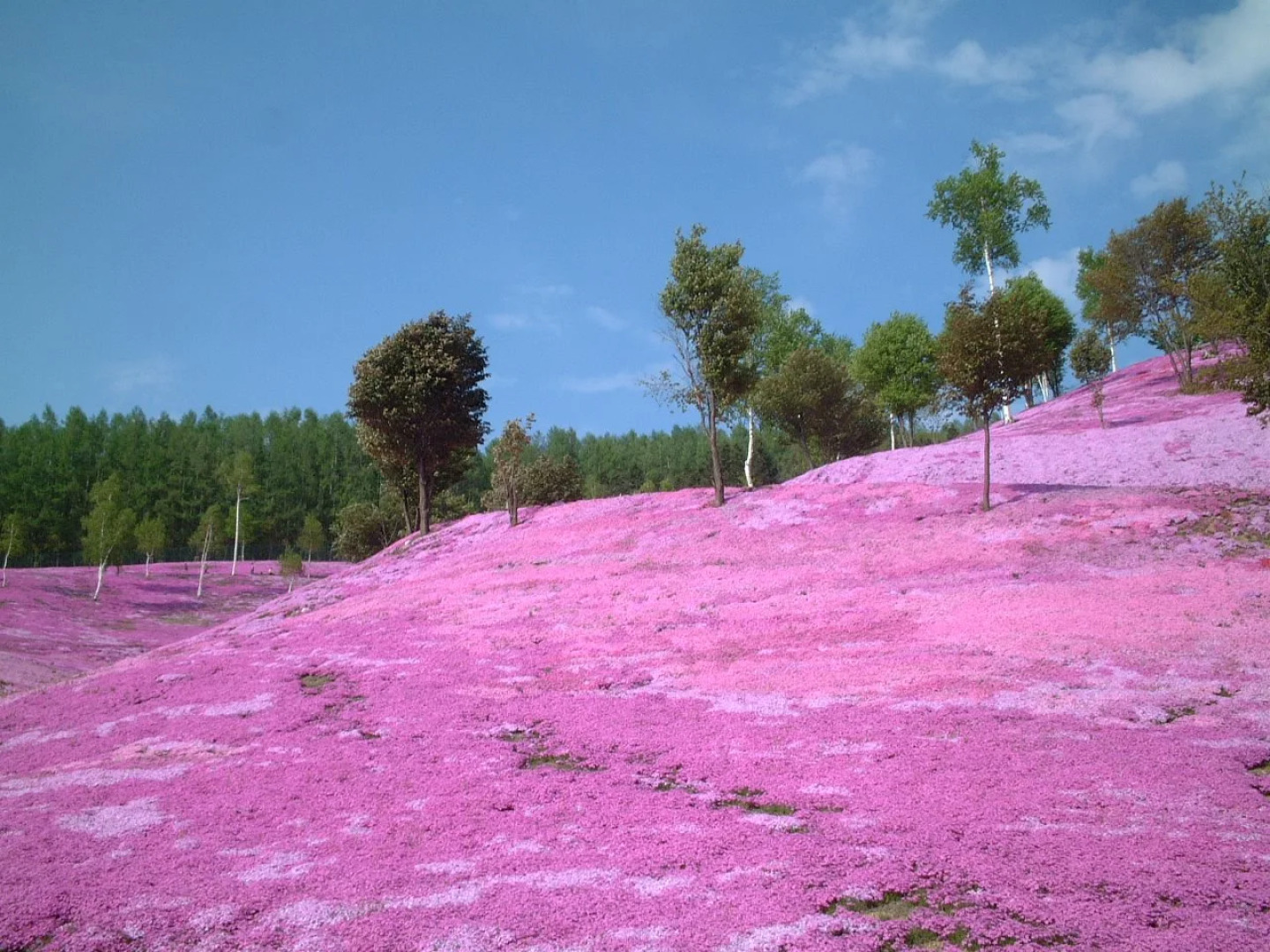 Takinoue Hotel Keikoku