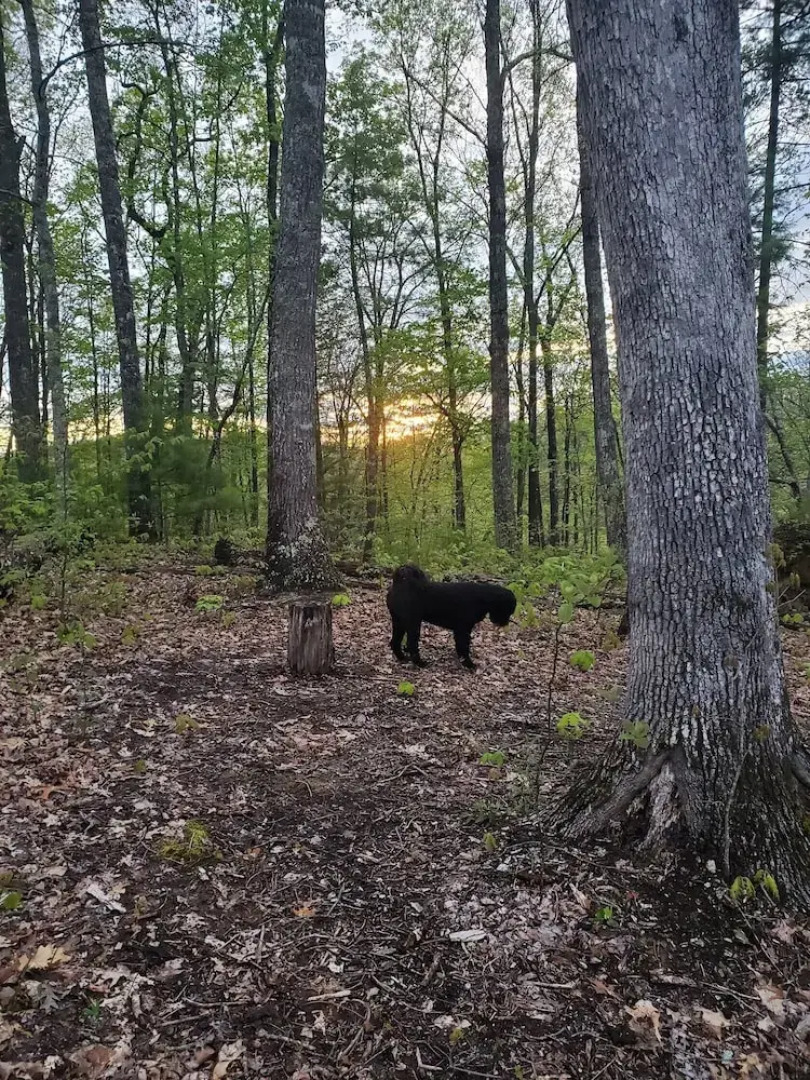 Smoky Mountain Lake View Cabin Bristol Tn