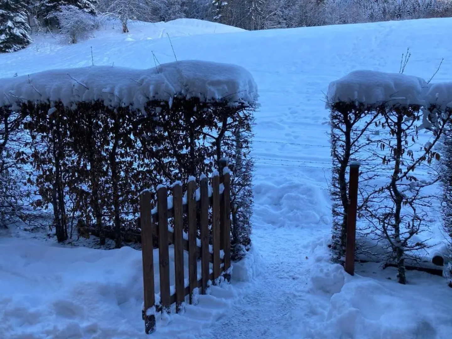 Appartement 2 pièces pieds des pistes terrasse face à la montagne