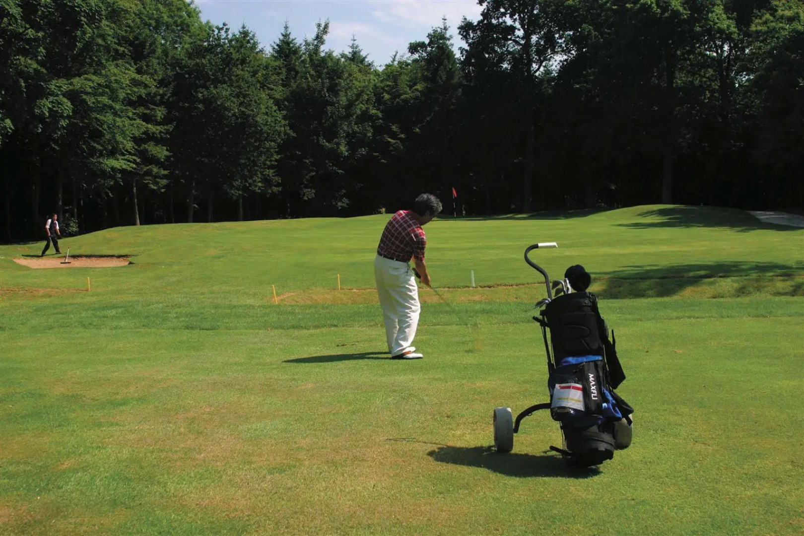 Best Western Plus Kenwick Park Hotel