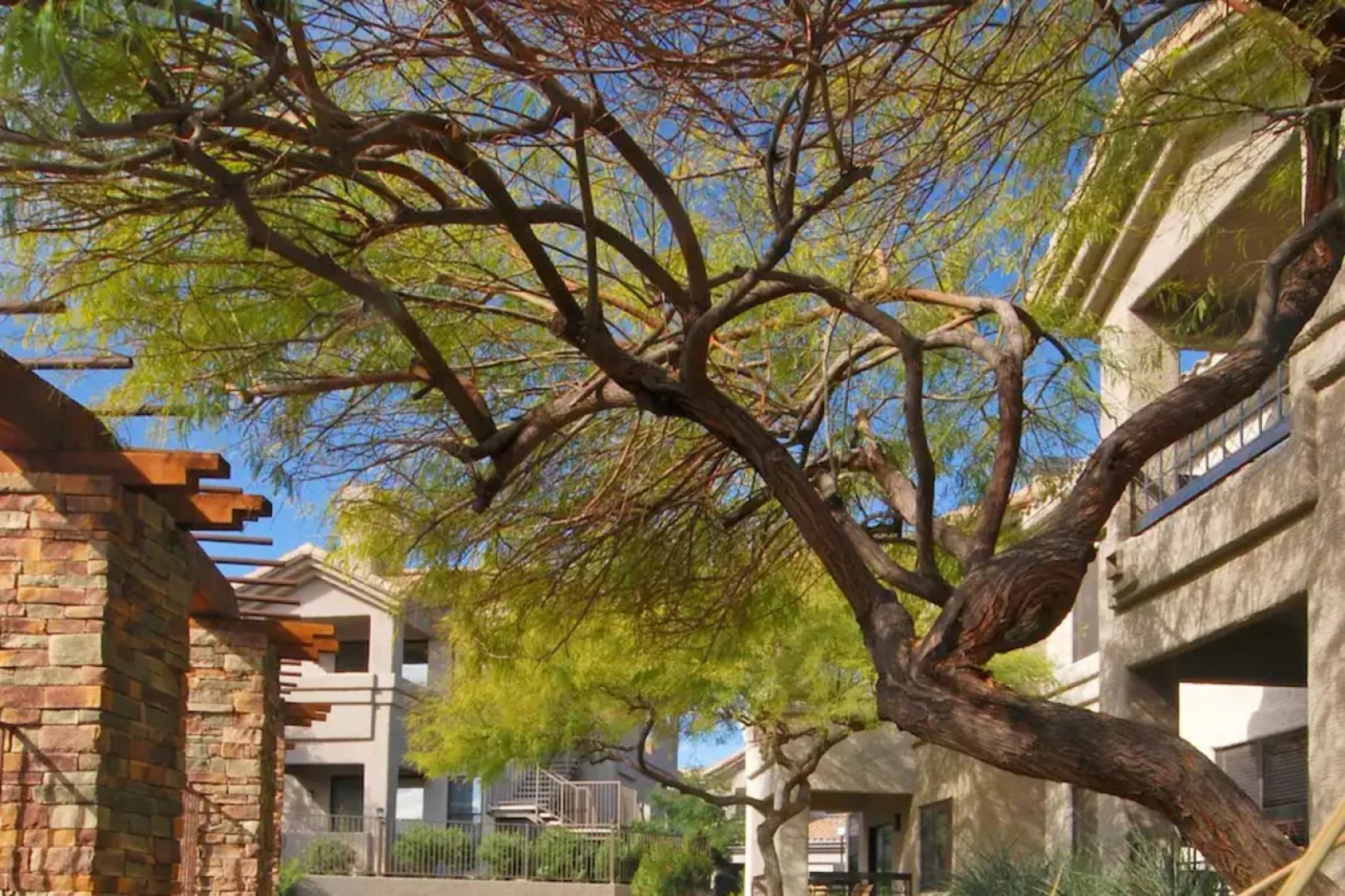 WorldMark Phoenix - South Mountain Preserve