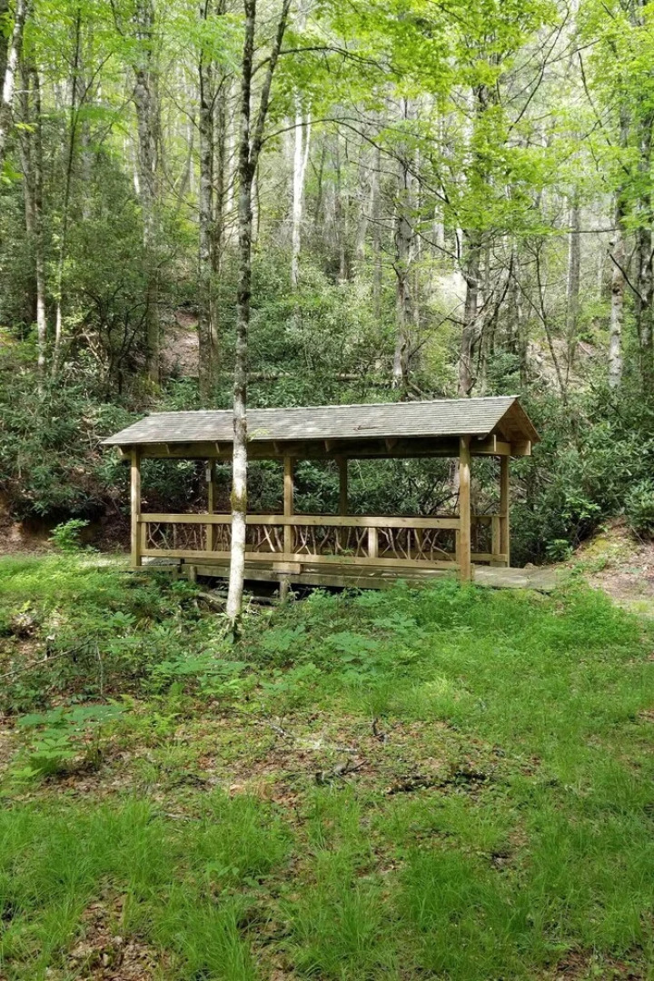 Serene Mountain Retreat! Rural Glenville Craftsman