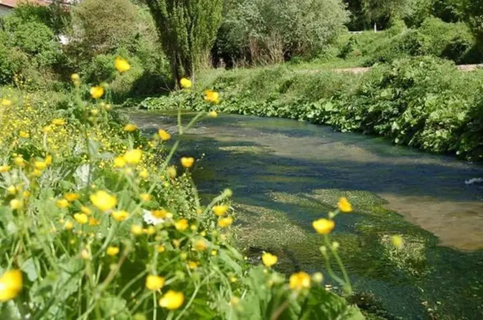 Azienda Agrituristica La Valle del Sambuco