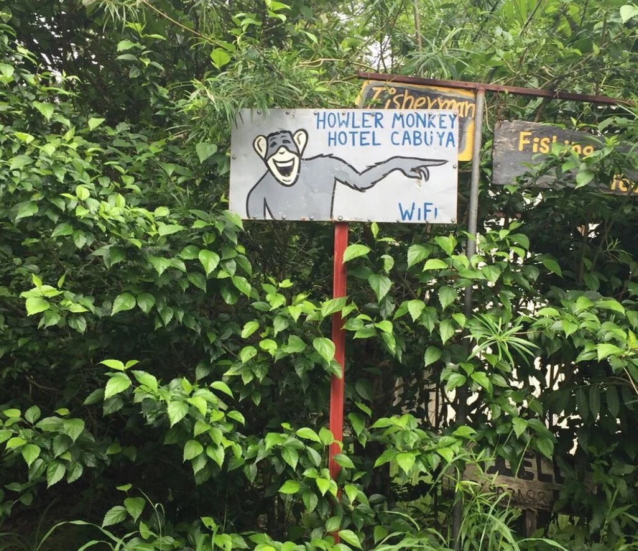 The Howler Monkey Hotel