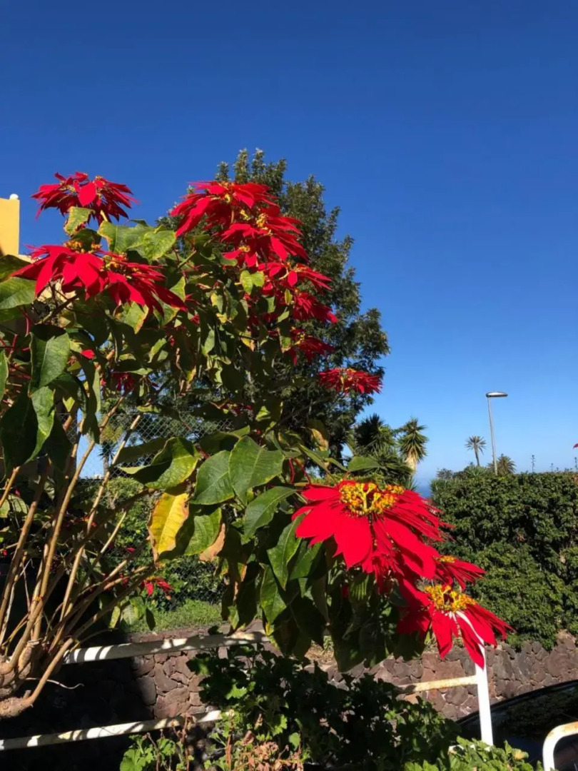 RF La Quinta Park Suites