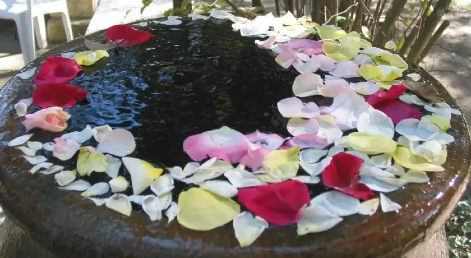 Yourtes la Terre des Lauriers