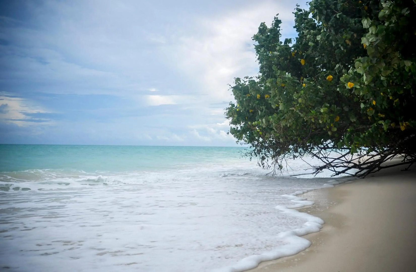 Emerald Gecko Resort-Havelock Island
