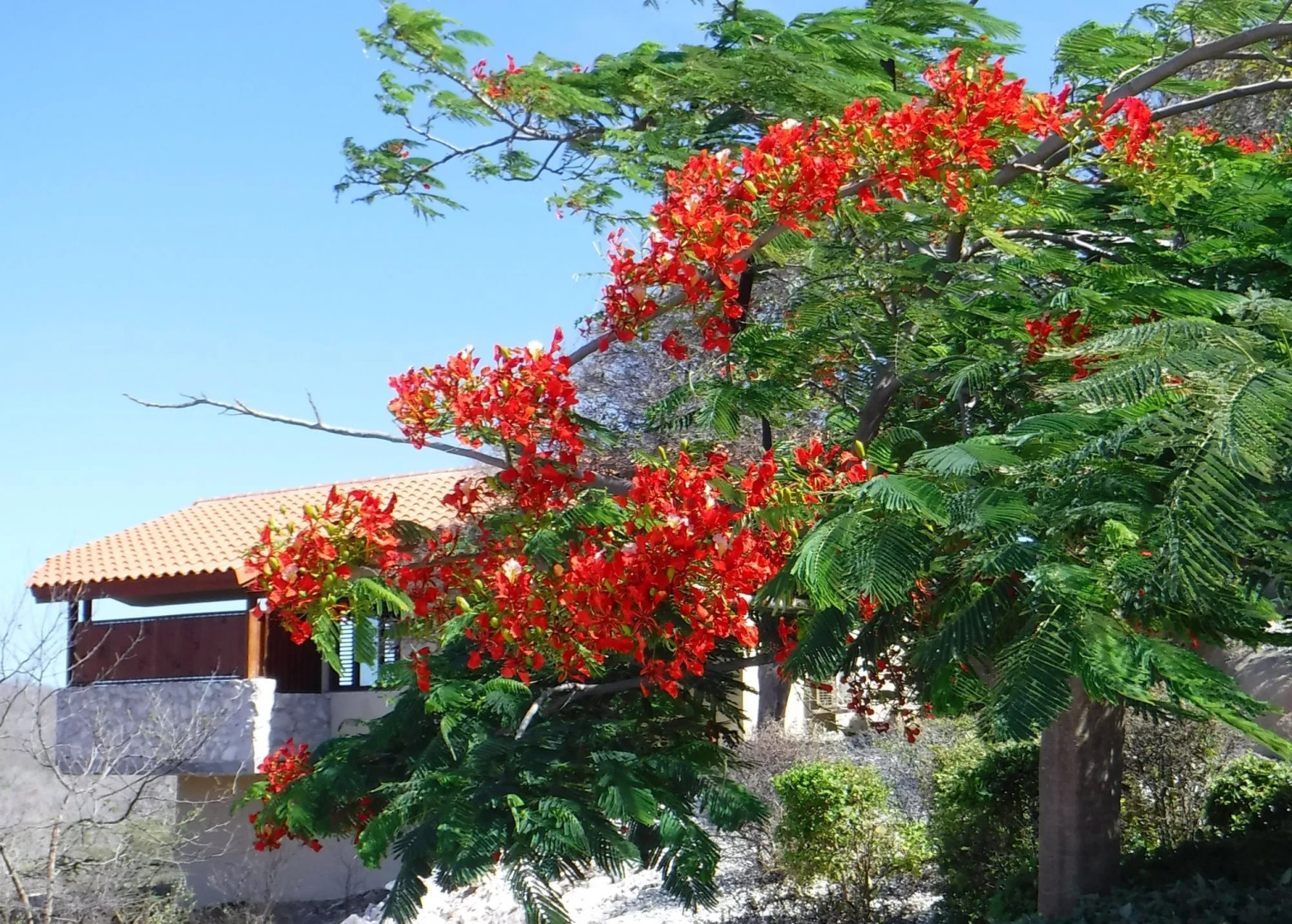 Bandabou Breeze Curacao