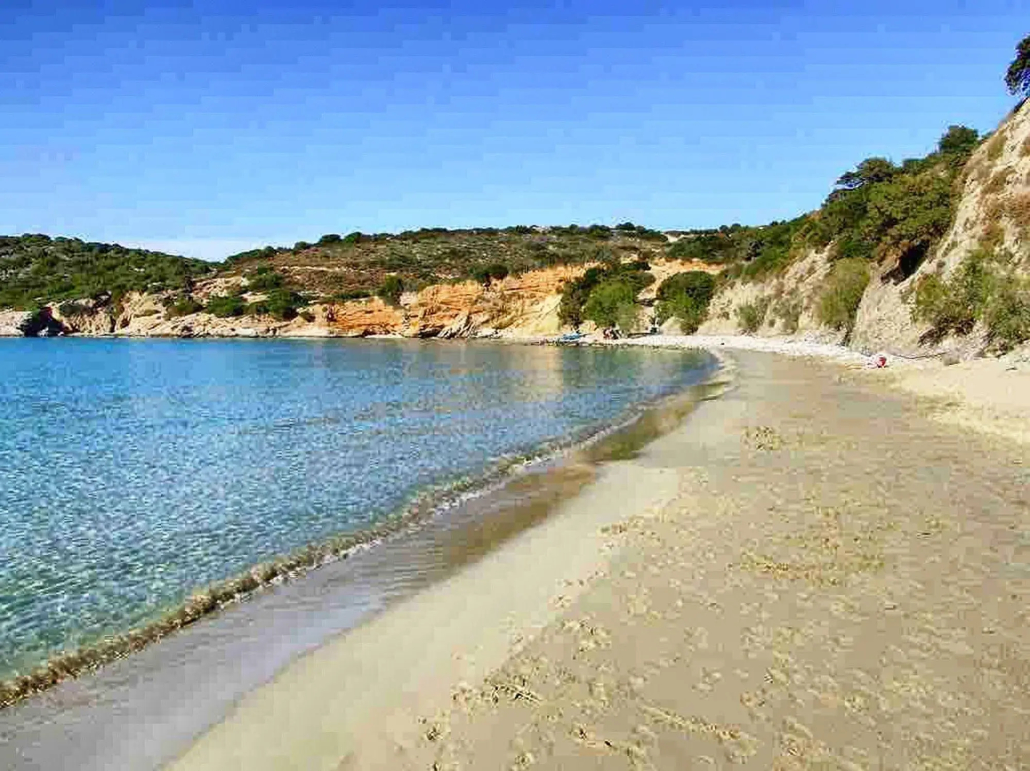 Anemone Seaside Traditional Homes