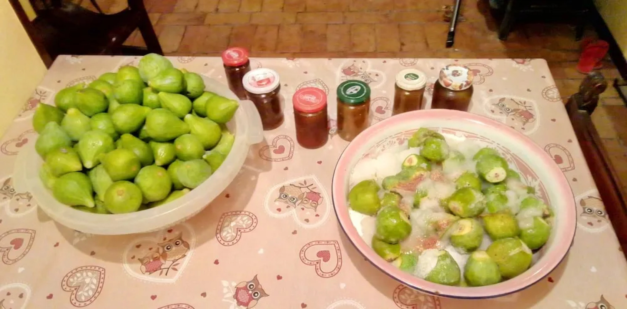 Studio in Castel Colonna, With Private Pool and Wifi Near the Beach