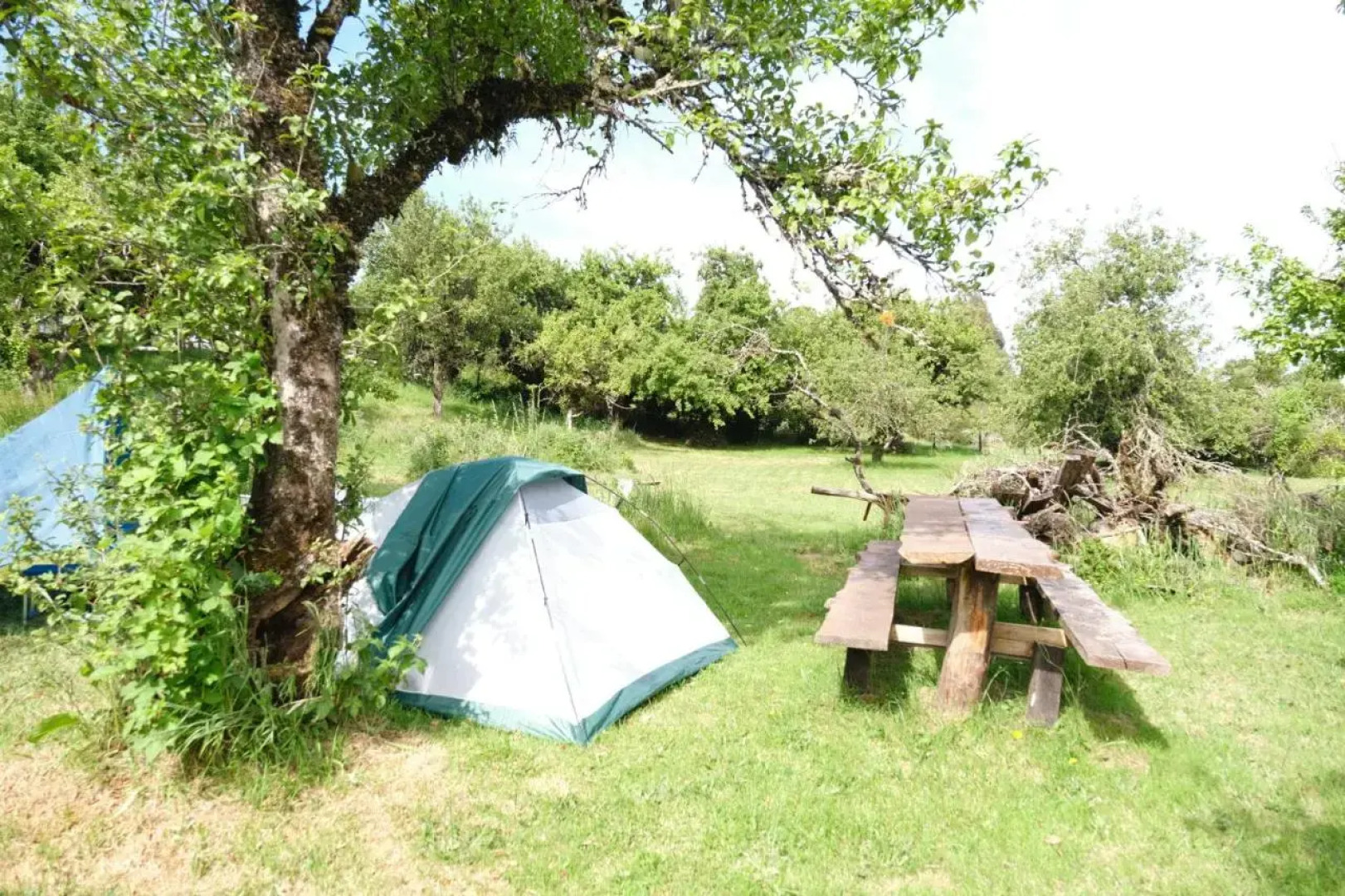 Ecoturismo Los Manzanos