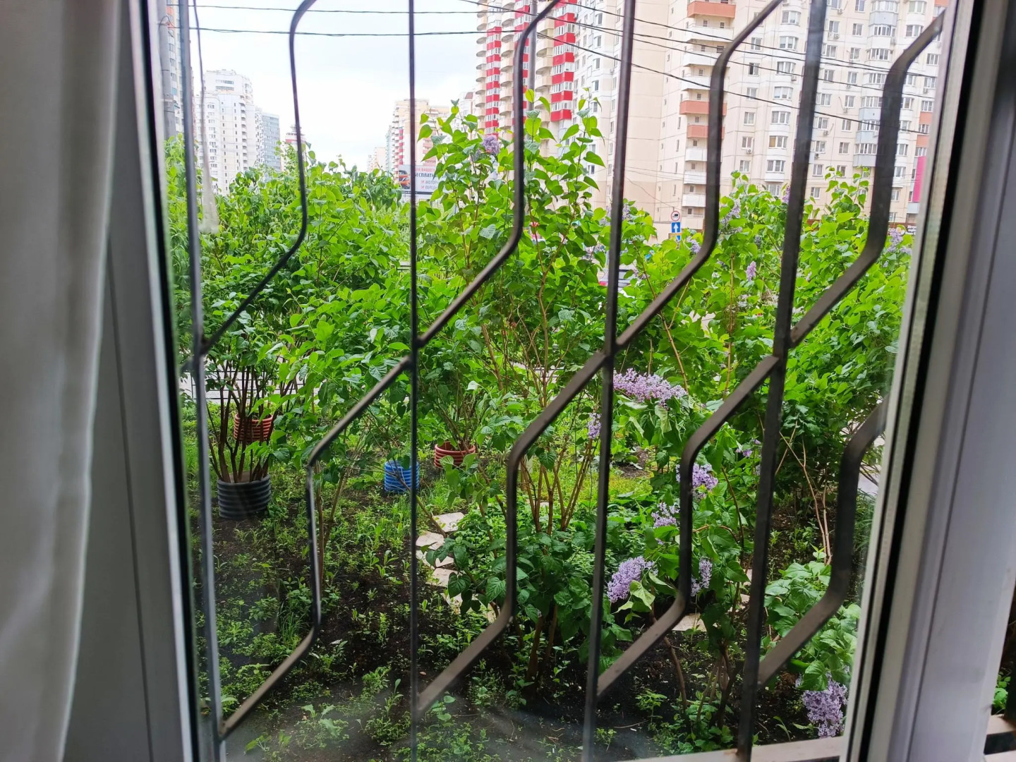 Studios Crocus (Студио Крокус) на Ильинском