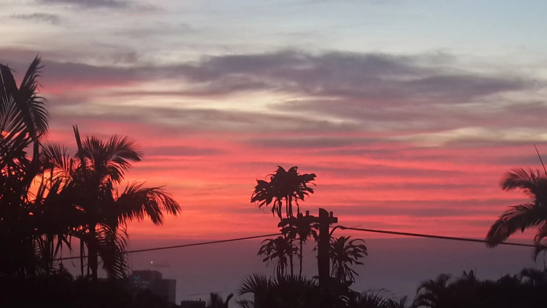 Crooked Tree Cottage