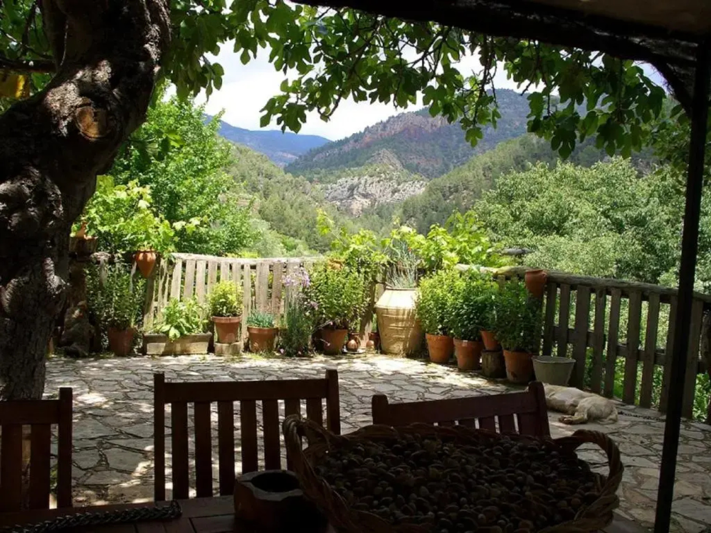 Masía La Posada del río Carbo