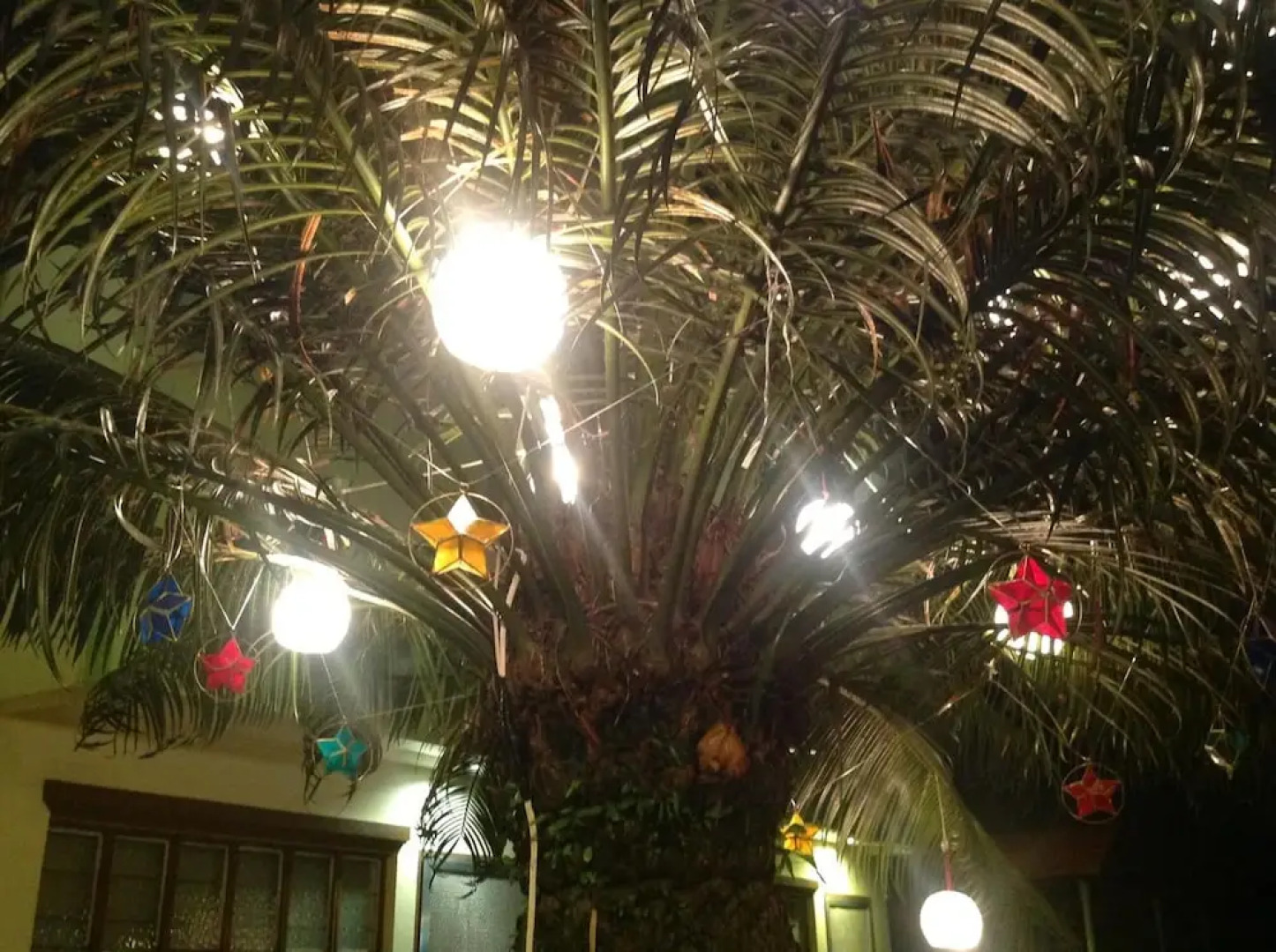 Danel Pensionne House