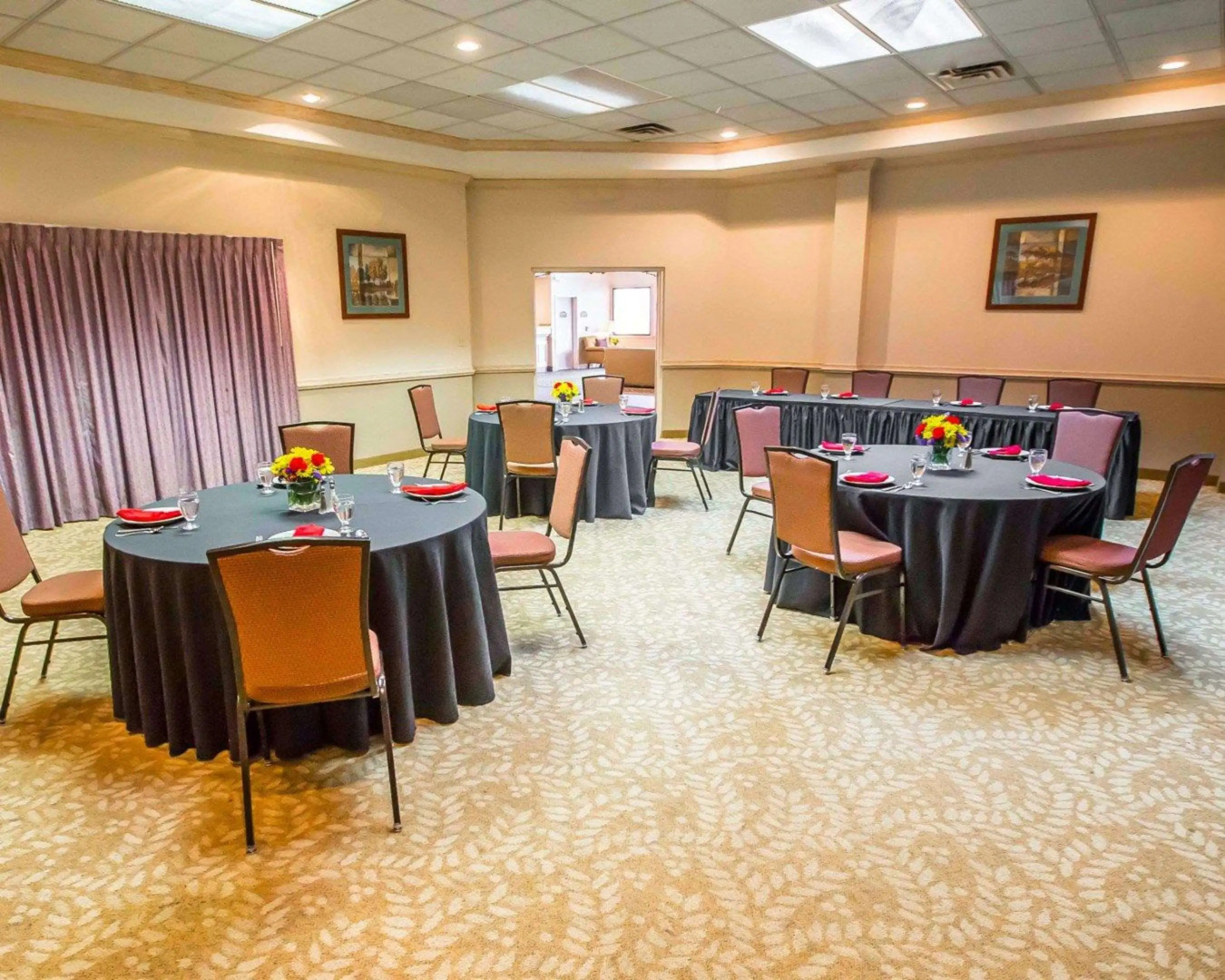 Comfort Suites University Area Notre Dame - South Bend