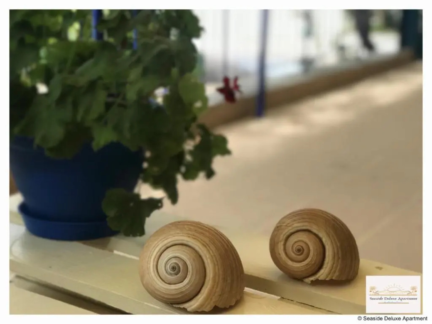 Seaside Deluxe Apartment