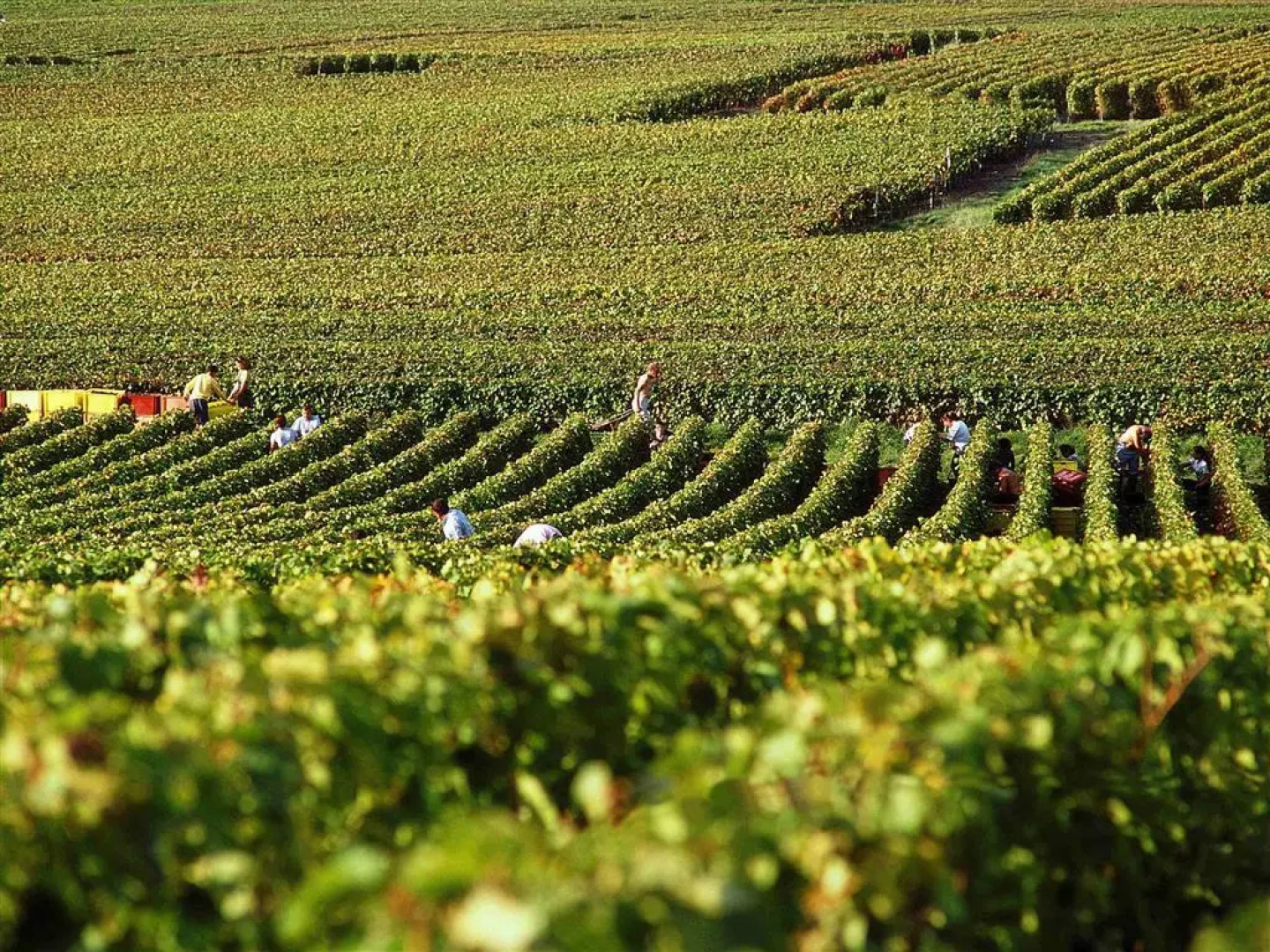 ibis Styles Reims Centre Cathédrale