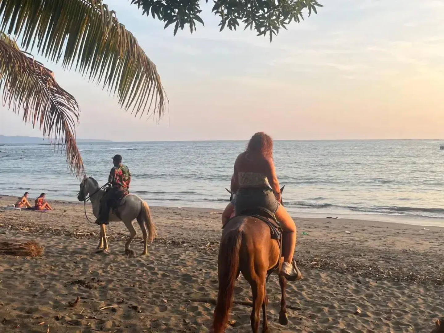 Hostal Familiar Rolo